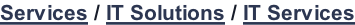 Services / IT Solutions / IT Services